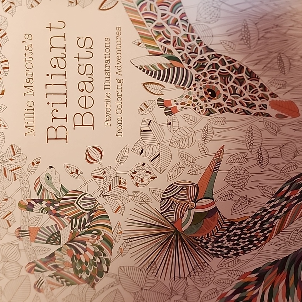 Coloring book
